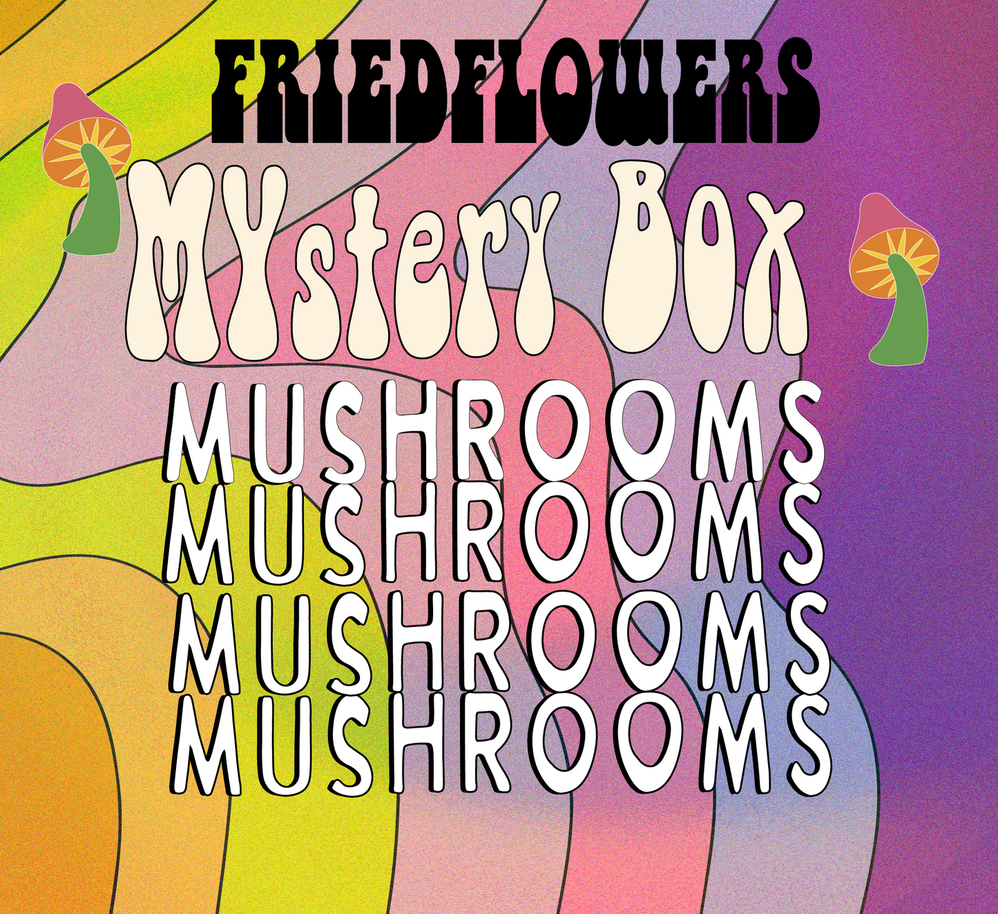 $30 Mushroom Mystery boxes