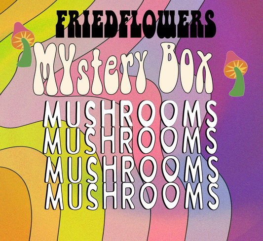 Mushroom Mystery boxes